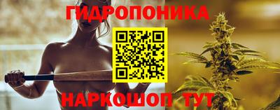spice Гатчина