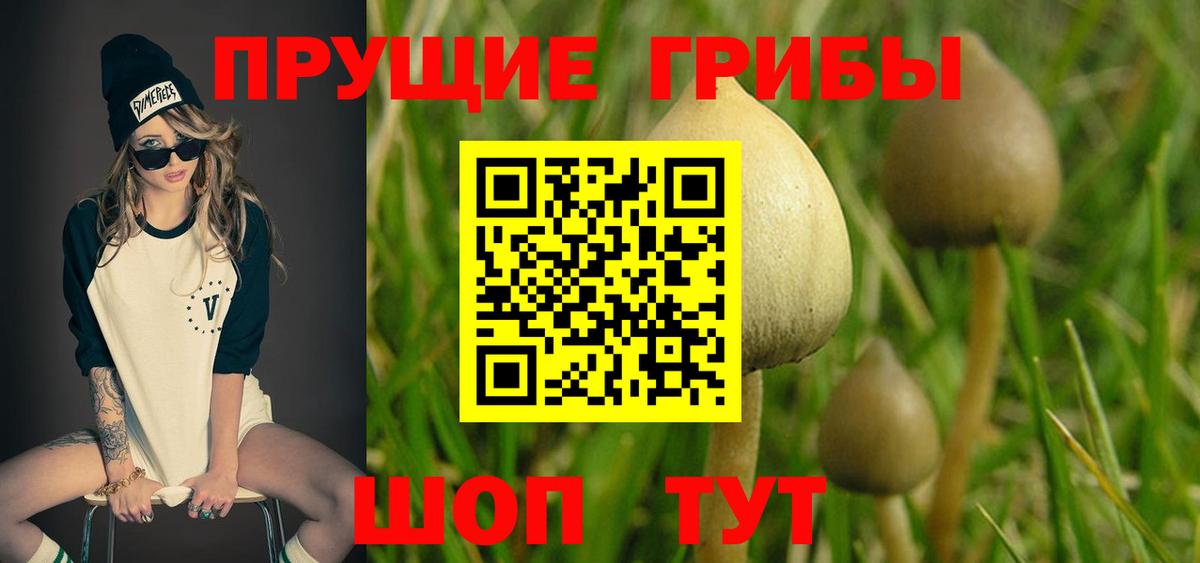 Псилоцибиновые грибы MAGIC MUSHROOMS  Вход с VPN  Рассказово  Псилоцибиновые грибы ЛСД 
